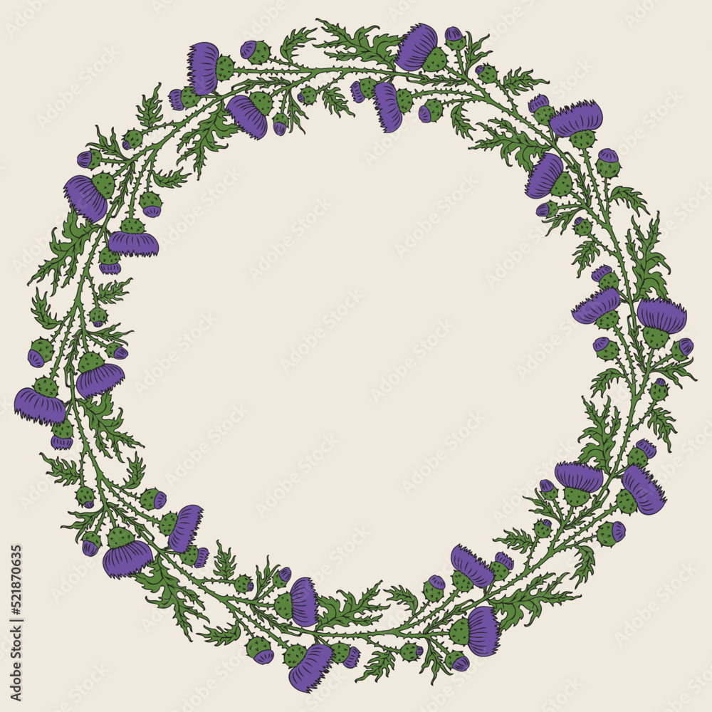 Decorative floral wreath from drawn wild thistle flowers with buds Decorative floral wreath from drawn wild thistle flowers with buds