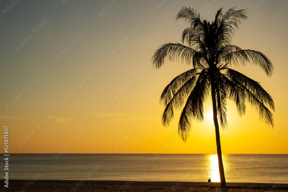 Beach sand sunset or sunrise with coconut palm tree