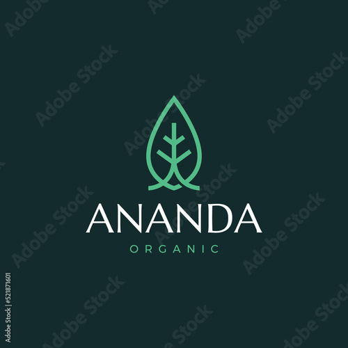 Modern logo with an Ananda word in the middle with an "Organic" world isolated on a blue background