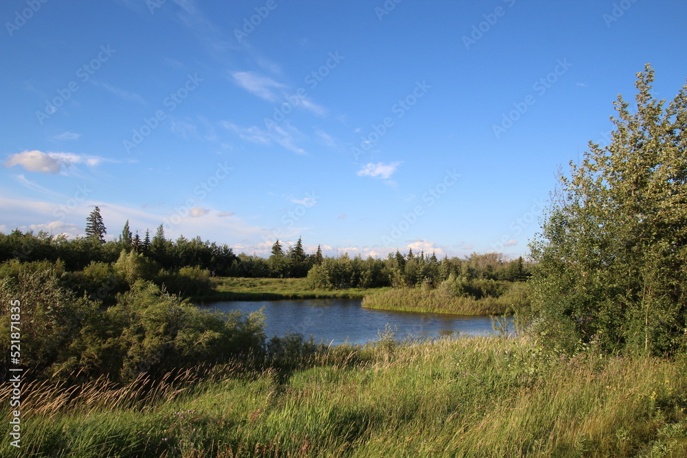 lake and forest, Pylypow Wetlands, Edmonton, Alberta lake and forest, Pylypow Wetlands, Edmonton, Alberta