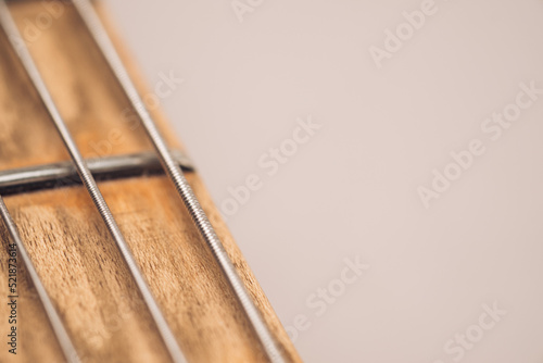 Canvas Print Electric guitar steel strings with fretboard background