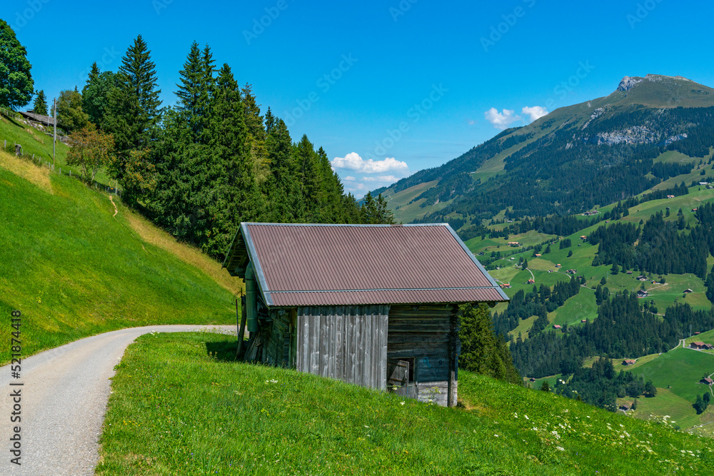 Holzstadel, Scheune, Haus aus Holz am steilen Abhang in Adelboden. auf einer Waldlichtung in den schweizer Alpen steht ein altes Holzhaus, Stall oder Heulager, Blockhaus aus alter Zimmermannskunst.