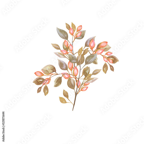 Watercolor illustration  isolated element  leaves  twig. Brown