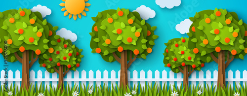 Fruit trees with ripe fruits, summer day in garden, white wood fence, harvest time. Vector illustration. Rural countryside landscape cute funny cartoon design. Horticulture concept,