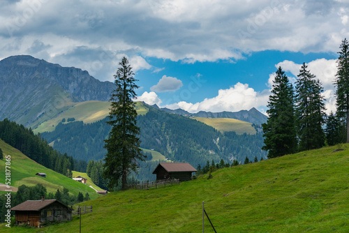 alte Bauernh  user aus Holz im Boden  Adelboden. Streusiedlung mit Wiesen und W  ldern in den schweizer Alpen. Berge im Hintergrund