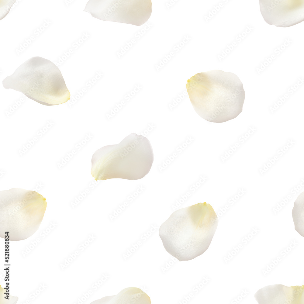 Rose petal isolated on white background, SEAMLESS, PATTERN