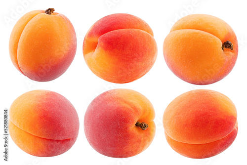 apricot isolated on white background, clipping path, full depth of field