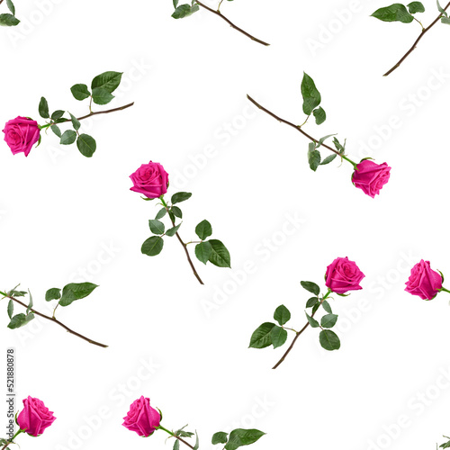 Roses isolated on white background  SEAMLESS  PATTERN