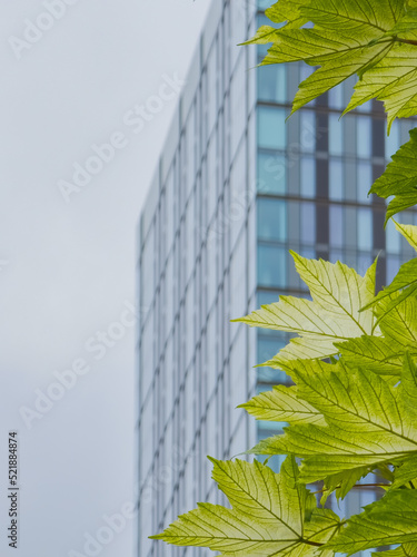Green tree leaves and skyscraper in the background in Castlefield, Manchester, UK- corporate construction and ecology concept