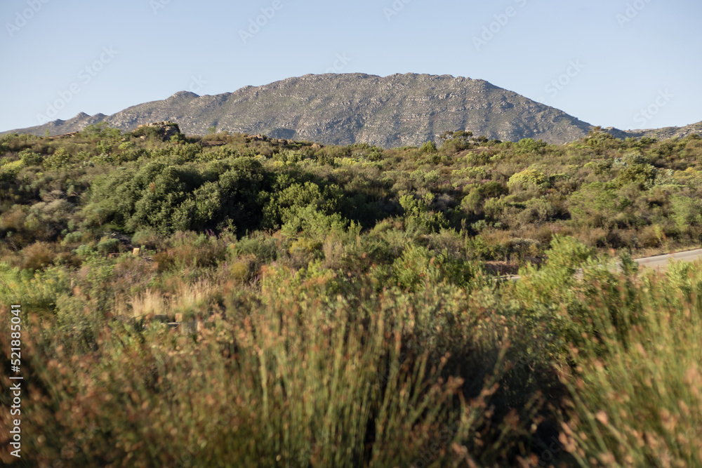 landscape in the mountains with a clear blue sky