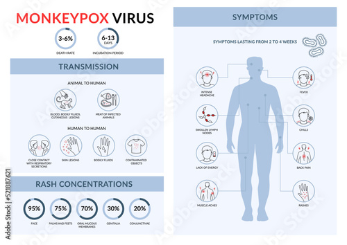 Monkeypox virus transmission and symptoms. Linear vector infographic. People spreading infection from monkey