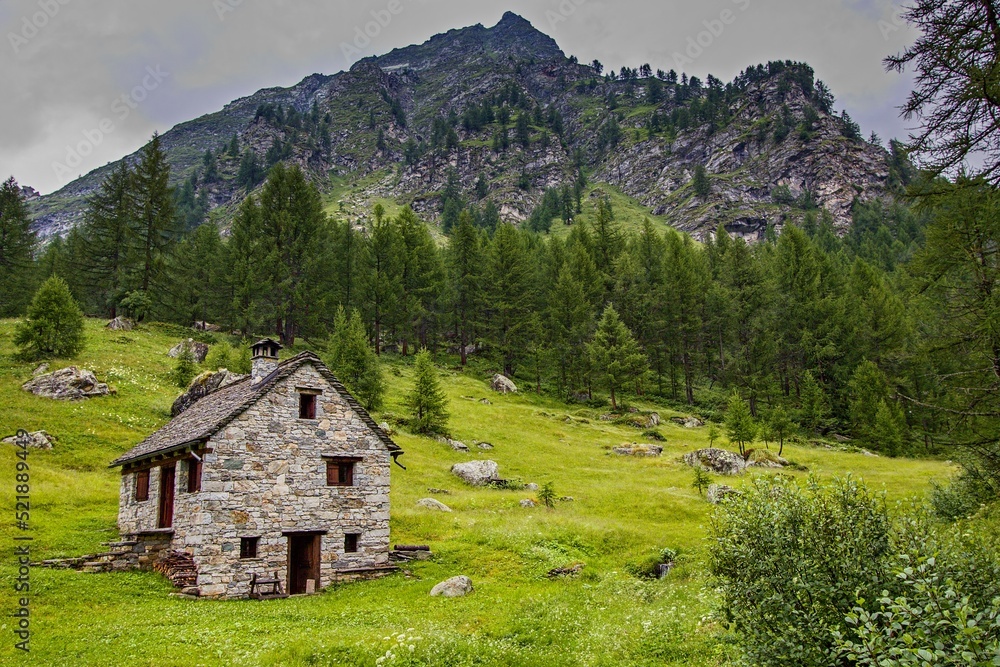 Stone cottage on green meadow in Alpe Devero, Lepontine Alps, Ossola, Piedmont, Italy