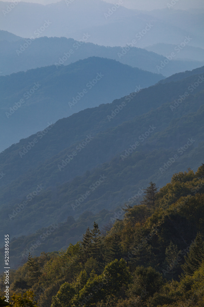 Newfound Gap area in the Great Smoky Mountains