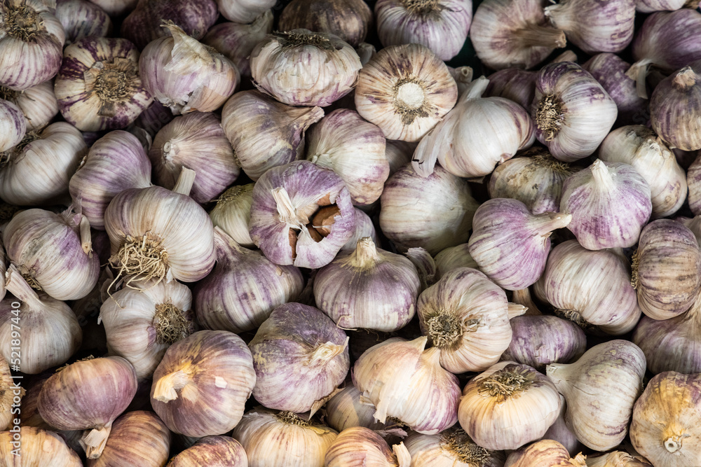 Fresh garlic at a local farmers’ food market Fresh garlic at a local farmers’ food market