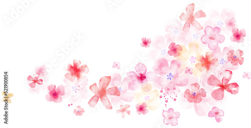 Fototapeta Naklejka Na Ścianę i Meble -  Flying pink flowers and petals. Watercolor illustration