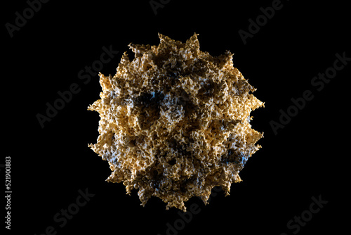 Photography Polio virus medical illustration, poliovirus disease