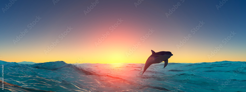 Sailing and sunset