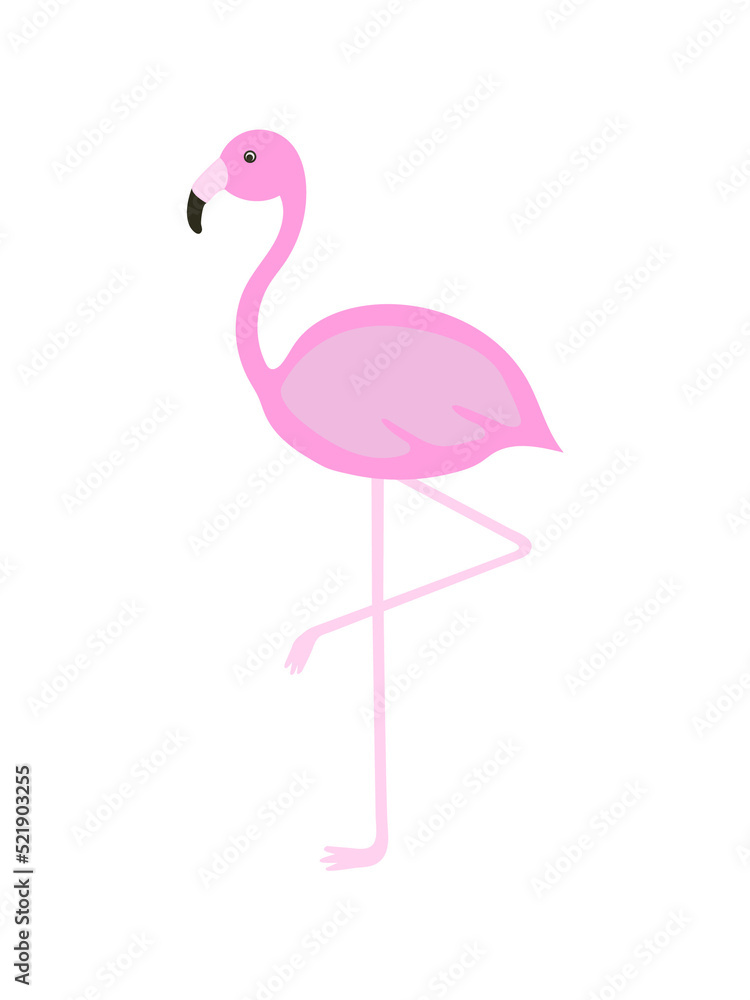 Fototapeta premium Flamingo cartoon png