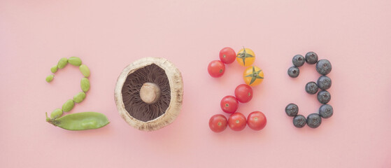 2023 made from healthy food, New year health resolution, diet goal plan and lifestyle wellness concept