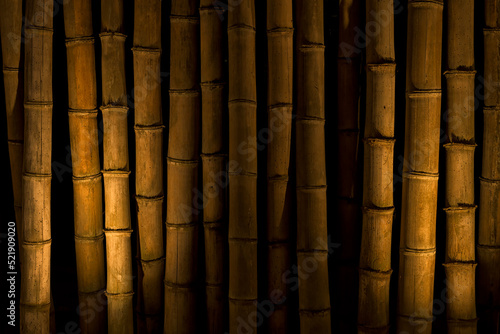 Bamboo wall texture with lighting and dark background.