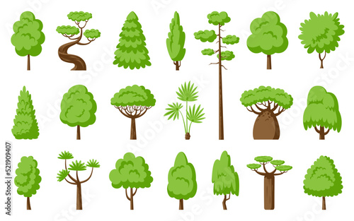 Green trees flat set. Baobab palm dracaena, sequoia fir, cypress spruce, maple thuja willow, foliar and pine forest park plant. Foliage cartoon landscape floral outdoor element. Different shape tree
