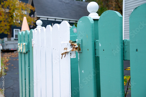 A wooden vintage house gate and fence. The gate has wood white palings, metal hinges, and a vintage latch. There are rust spots on the latch. The fence is painted vibrant green with white round caps. 