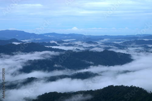Fototapeta Naklejka Na Ścianę i Meble -  misty mountain hills in the morning