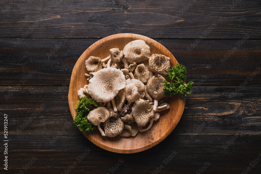 Fototapeta premium Fresh edible mushroom (Lentinus squarrosulus) in natural plate on wooden background, Organic food ingredients in seasonal, Table top view