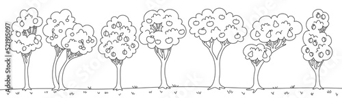 Fruit tree garden doodle cartoon set. Flat linear different orchard trees apple, pear and lemon, cherry, tangerine, plum apricot. Farm ripe fruits harvest botanical eco collection. Vector illustration