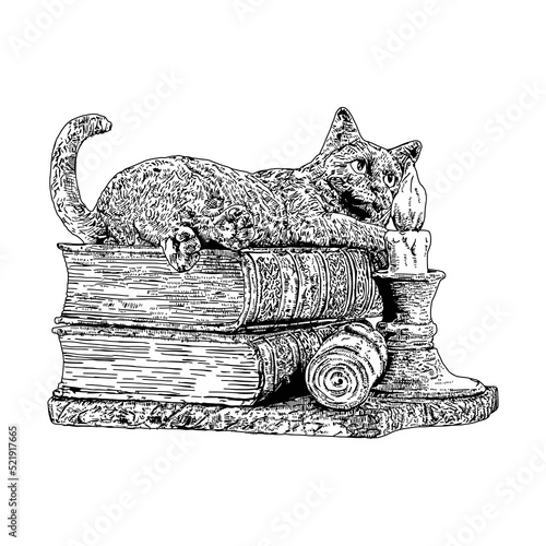 death metal horror illustration with cat, book and candle