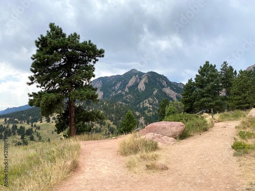 Mountain landscape in the summer dessert