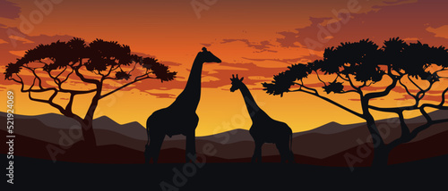 Savannah Landscape Sunset Vector Illustration With Two Giraffe © YOUR LABEL