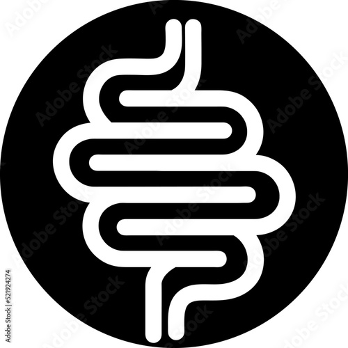 Intestinal tract line white icon on gray. Vector on white background..eps