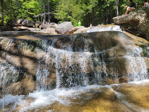 Small Waterfall in Forest Stream