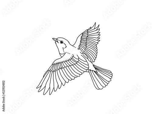 オオルリ　県鳥（栃木県）モノクロ