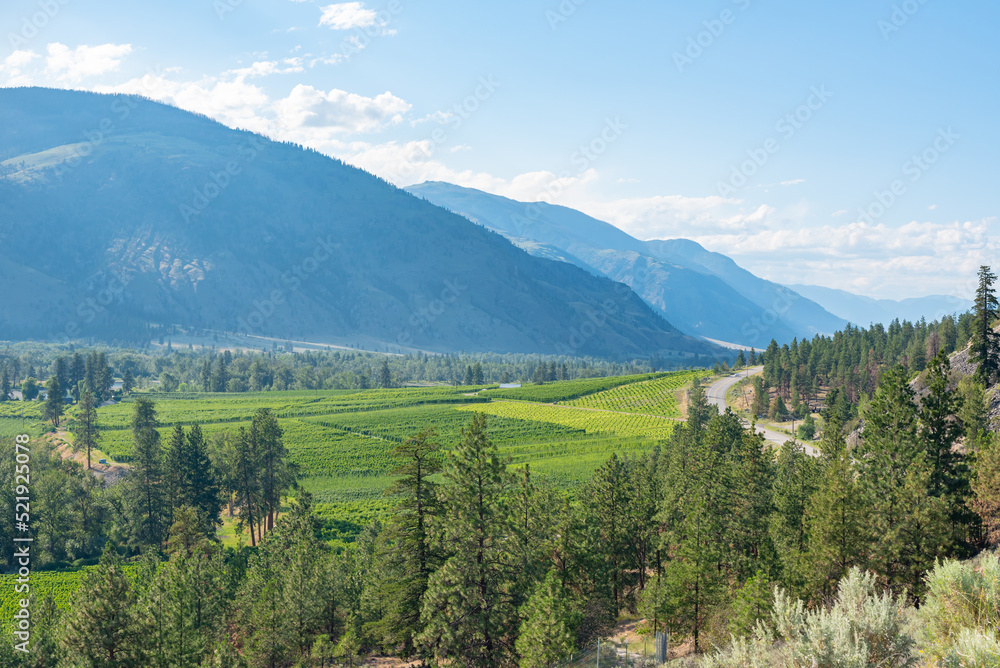 View above the Crowsnest Highway of the Similkameen Valley in summer