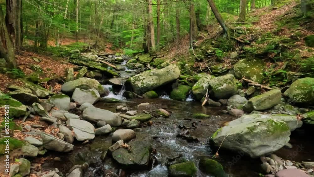 Beautiful, woodland trout fishing stream in the dense, lush, green Appalachian mountain forest during summer Beautiful, woodland trout fishing stream in the dense, lush, green Appalachian mountain forest during summer
