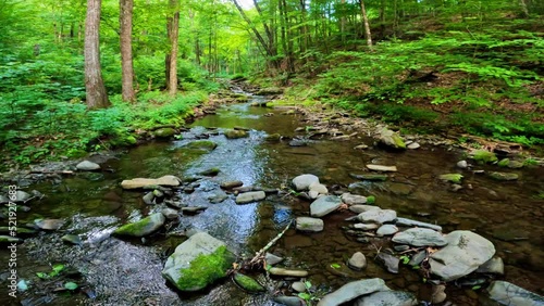 Beautiful, woodland stream in the dense, lush, green Appalachian mountain forest during summer
 photo