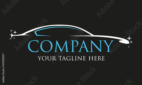 Black Color Shiny Automotive Car Wash Logo Design