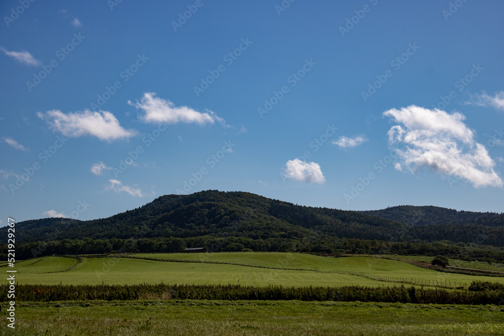 緑の牧場と青空

