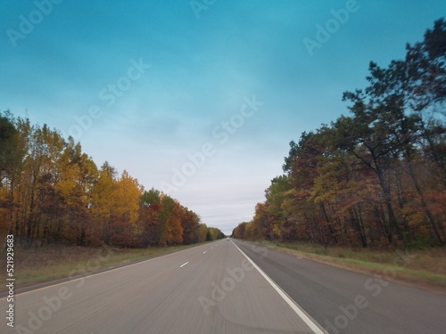 Road in Autumn Forest