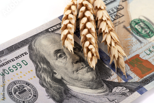 Ripe ears of wheat and American money