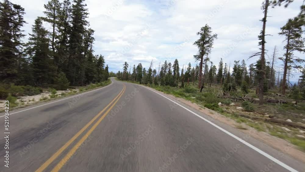Driving Plate Bryce Canyon Scenic Drive Northbound Multicam Set 20 Front View Forest Utah Southwest USA Driving Plate Bryce Canyon Scenic Drive Northbound Multicam Set 20 Front View Forest Utah Southwest USA