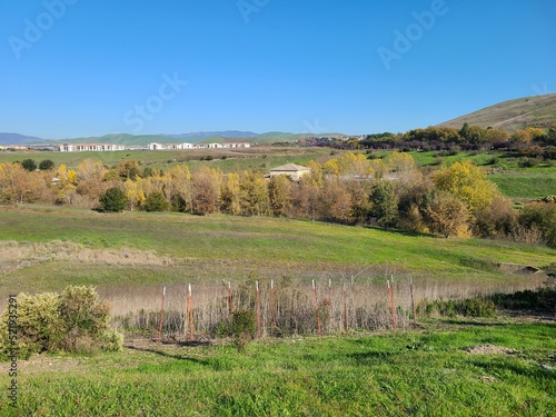 Photography Cottonwood trees in Autumn splendor along the waters of Alamo Creek in Northern