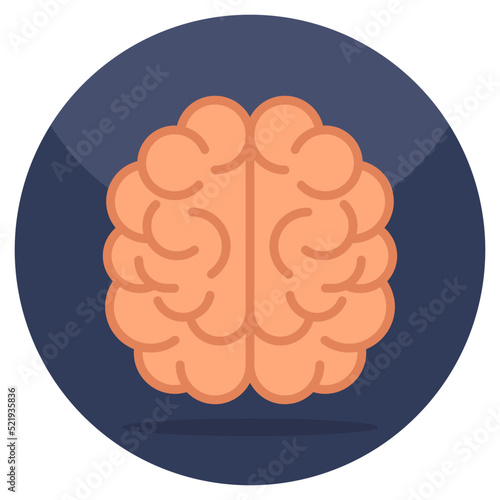 Modern design icon of brain