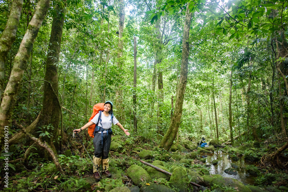 Backpackers stand happily in the vast green forest. Backpackers stand happily in the vast green forest.