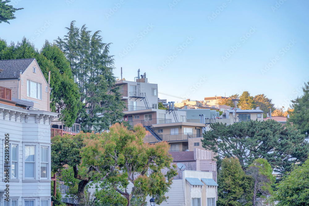 Townhouses and apartment buildings surrounded by trees in San Francisco, California