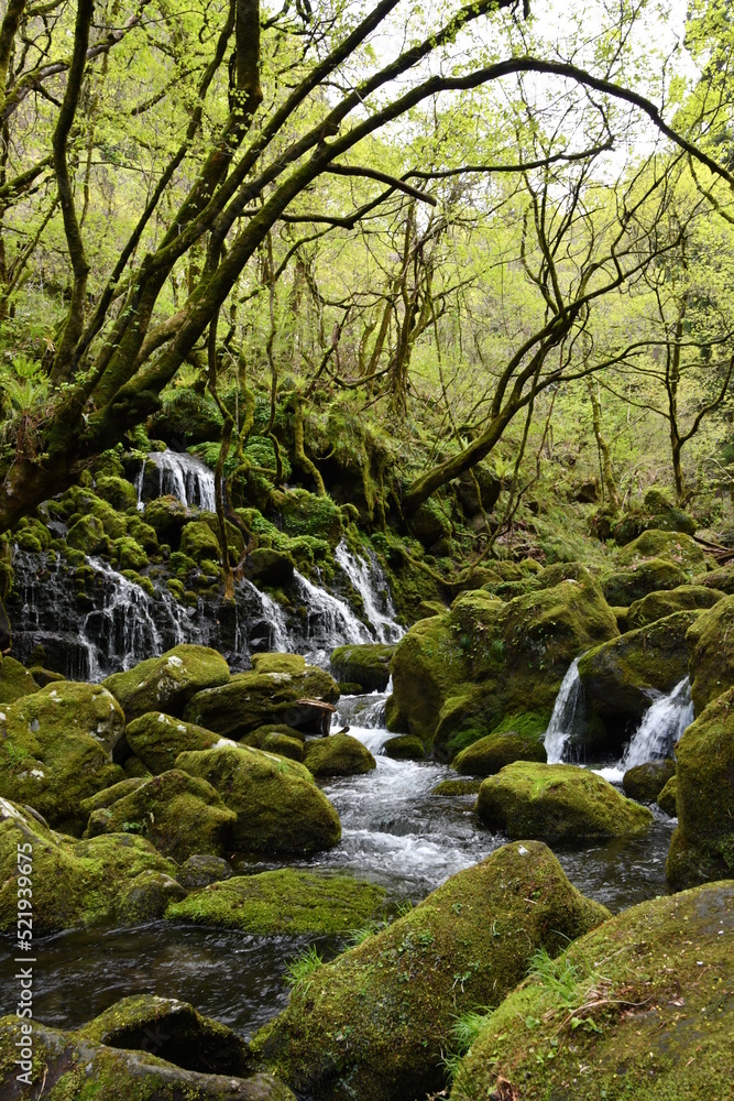 元滝伏流水