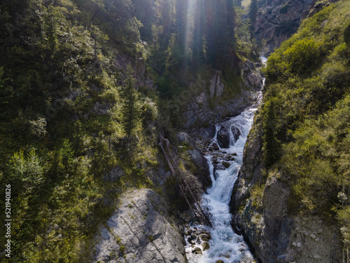 Mountain river and forest in summer Kyrgyzstan