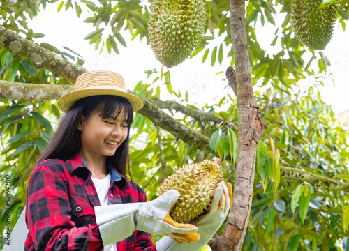 Young asian farmer looking at Durian in her garden and smiles happily. Durian is a king of fruit in Thailand .